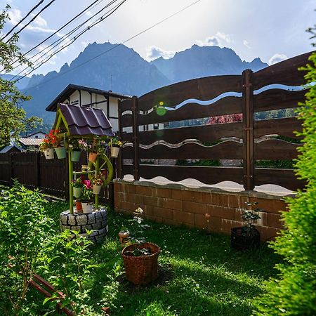 Hotel Casa Ramino Buşteni Zewnętrze zdjęcie