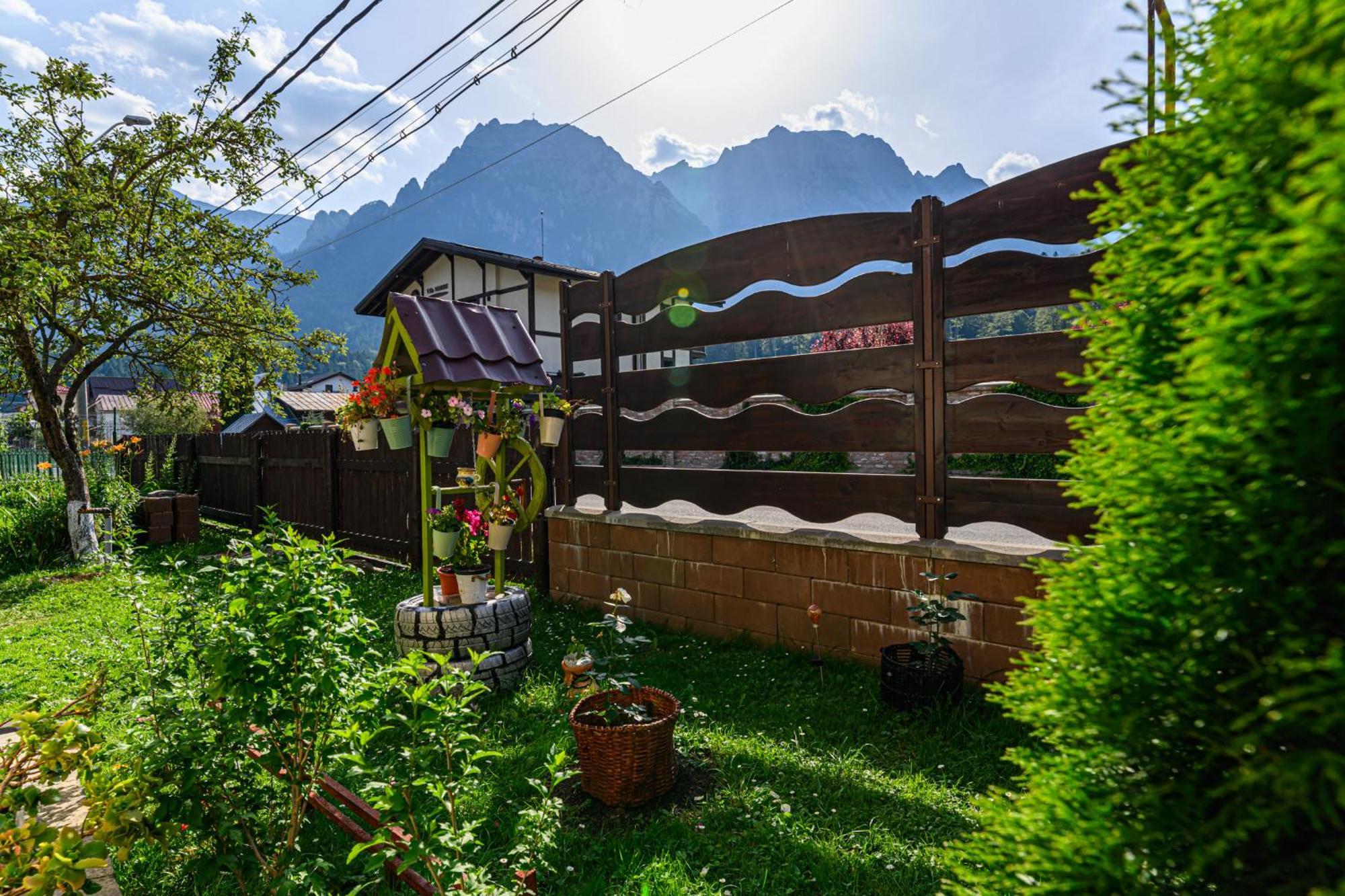 Hotel Casa Ramino Buşteni Zewnętrze zdjęcie