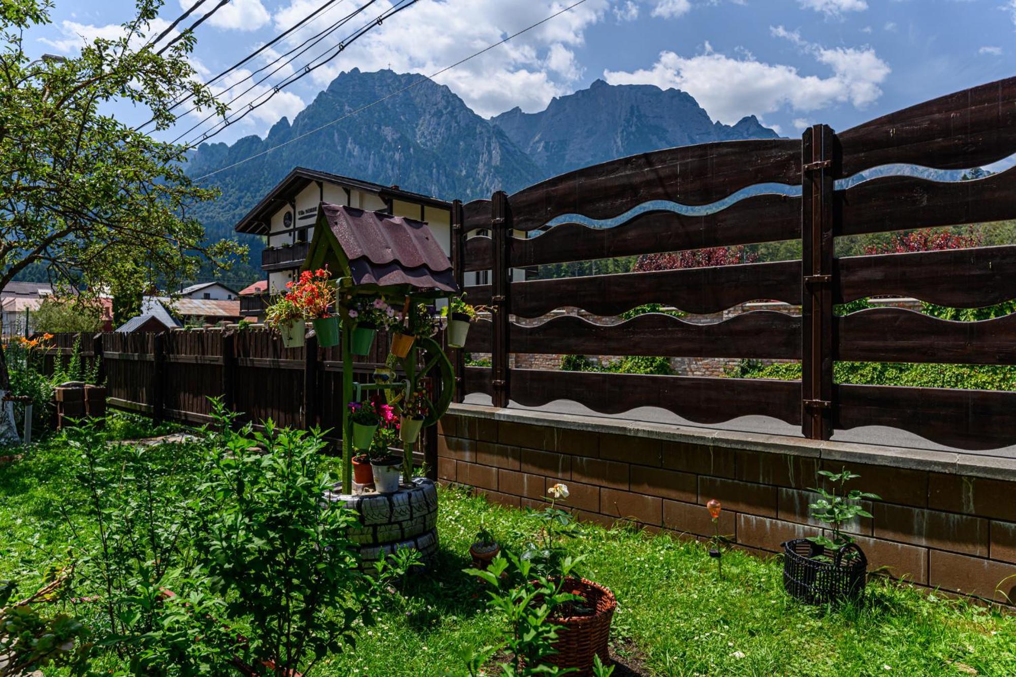 Hotel Casa Ramino Buşteni Zewnętrze zdjęcie