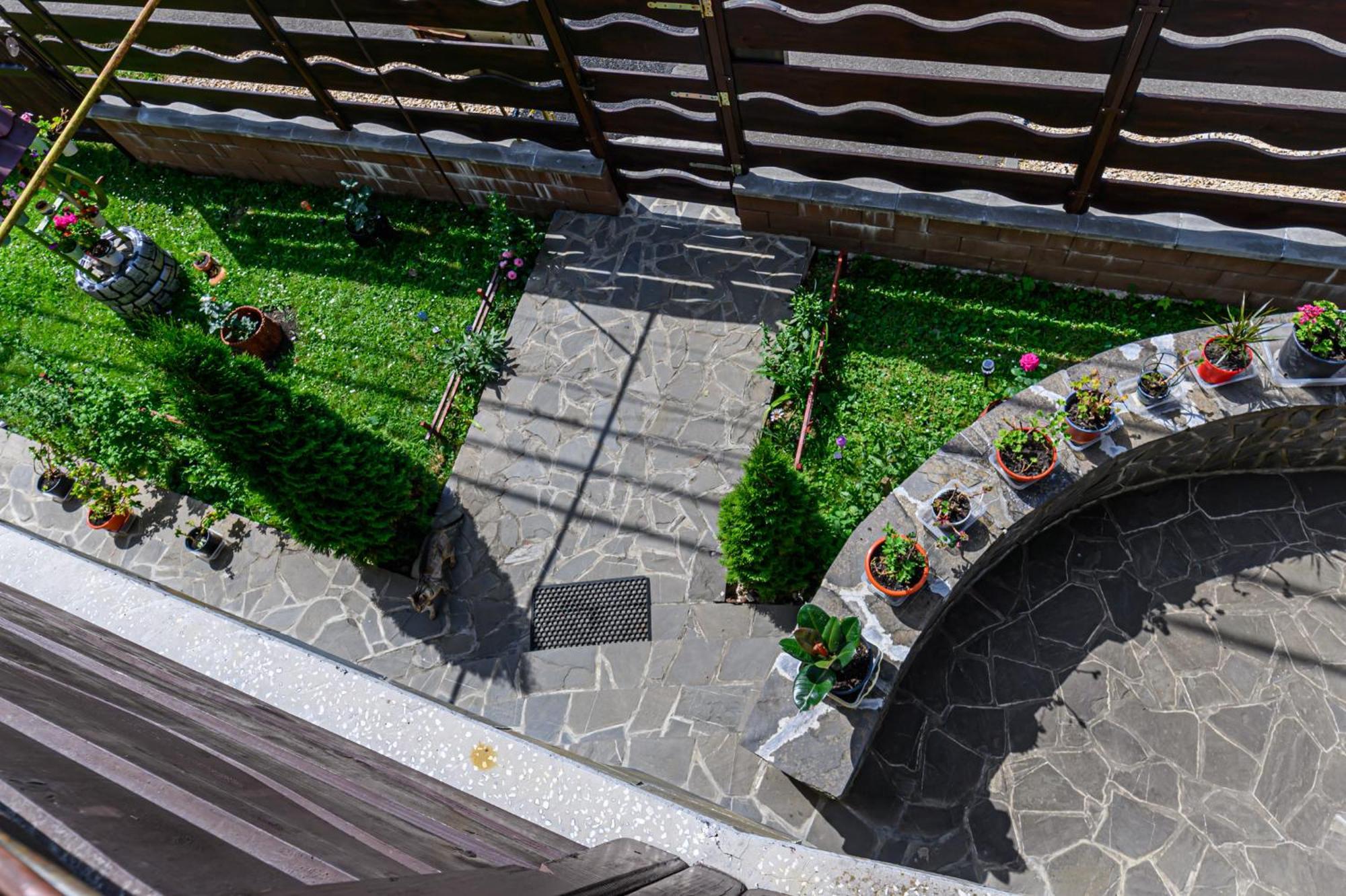 Hotel Casa Ramino Buşteni Zewnętrze zdjęcie